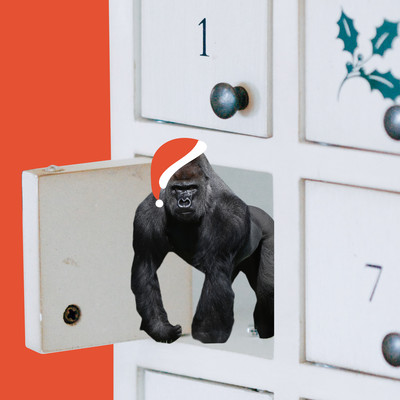 ひょっこりクリスマスのジャケット写真