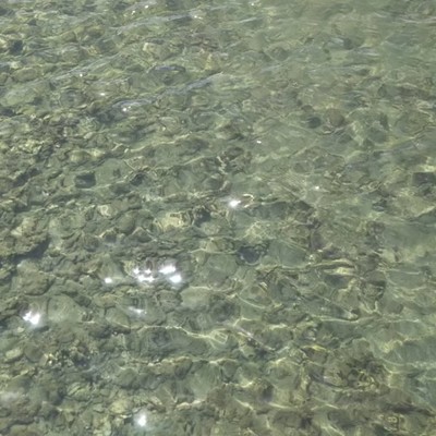 New Morning Front Cover