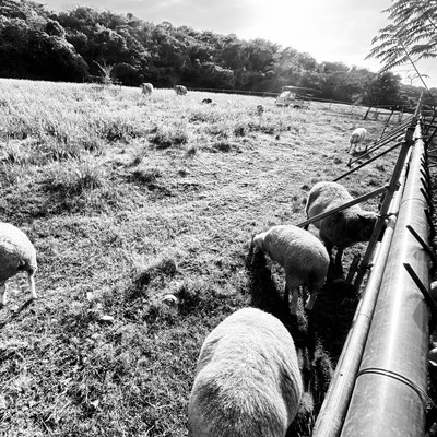 yesterday once moreのジャケット写真