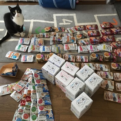 フリーになってよかったのジャケット写真