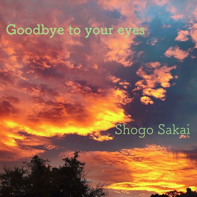 Goodbye to your eyes Front Cover