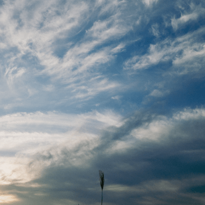 Won't be back Front Cover