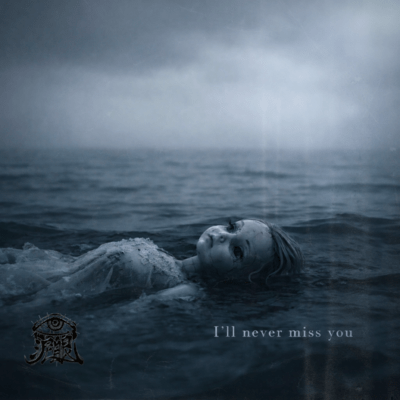 I'll never miss you Front Cover