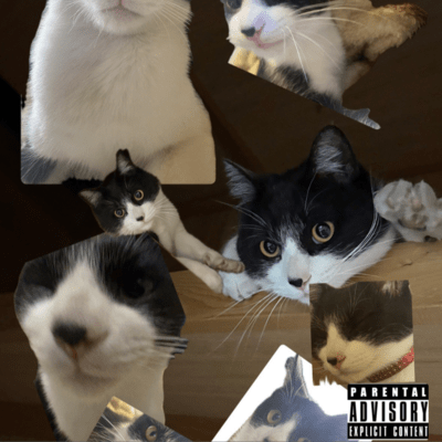 AM0:00 Front Cover