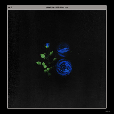 Blue Rose Front Cover