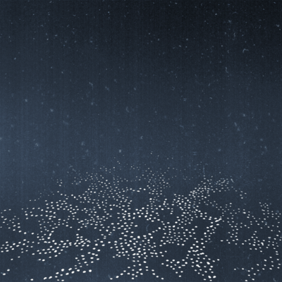 Silent Shriek Front Cover