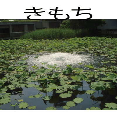 きもちのジャケット写真