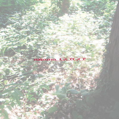 夏のGO!GO!のジャケット写真