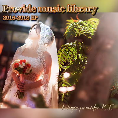 Provide music library 2016-2018 (2024 Remastered) Front Cover