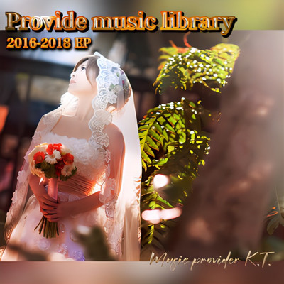 Provide music library Iのジャケット写真