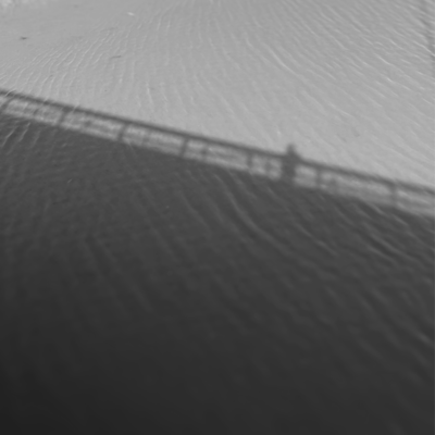 Selfish Front Cover