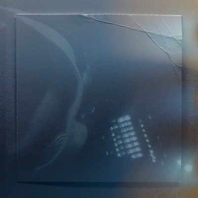 meのジャケット写真