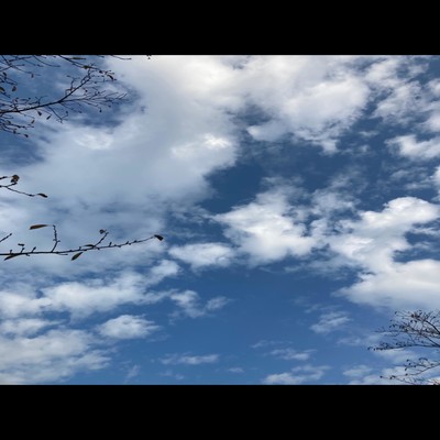 DAIJOUBU Front Cover