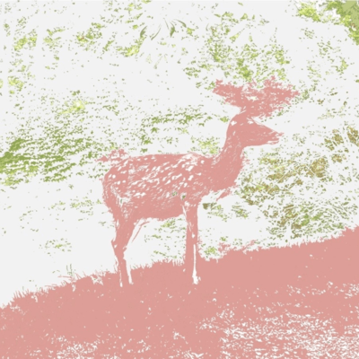 haijiのジャケット写真