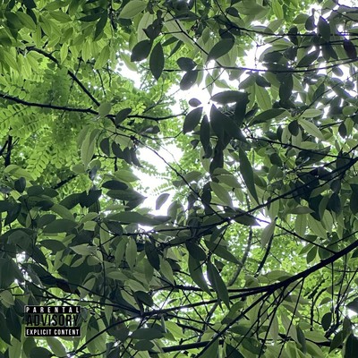 Chinese flom Japan Front Cover