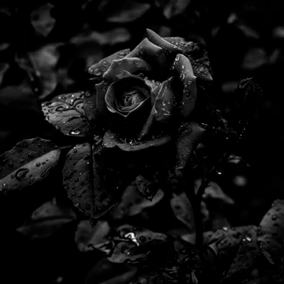 killerのジャケット写真