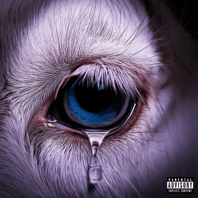 マダオのジャケット写真