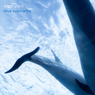 blue submarine Front Cover