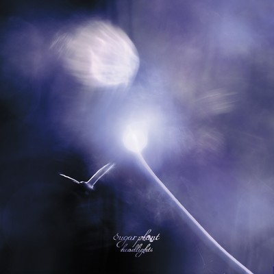 headlightsのジャケット写真
