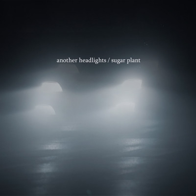 another headlightsのジャケット写真