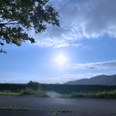 The Flyのジャケット写真