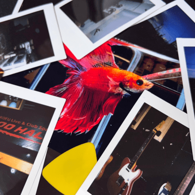 nettaiya Front Cover