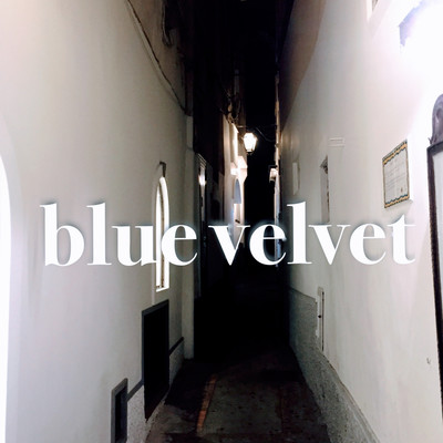 blue velvet 2024のジャケット写真
