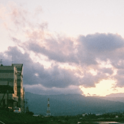 水仙のジャケット写真