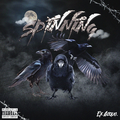 Spinning Front Cover