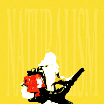 Naturalism Front Cover
