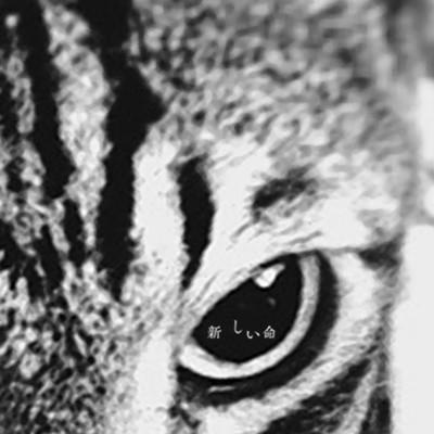 atarashii inochi (feat. Akira Yamamoto) Front Cover