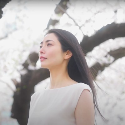 千年桜のジャケット写真