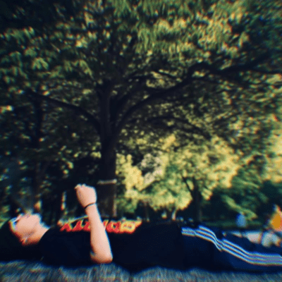 Fly Life Front Cover