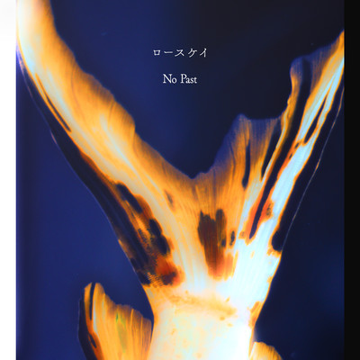 No Past Front Cover