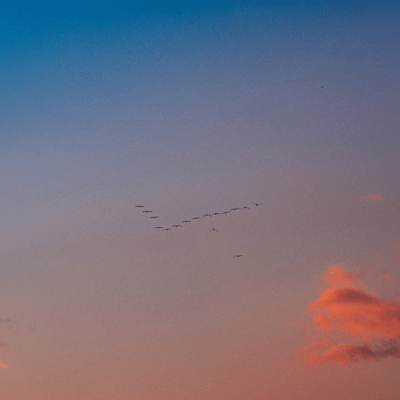 Dawnのジャケット写真