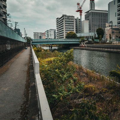 風景のジャケット写真
