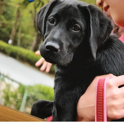 My Name Is Pierrot Front Cover