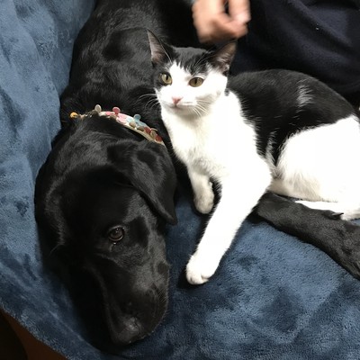 WAR IS OVER Front Cover