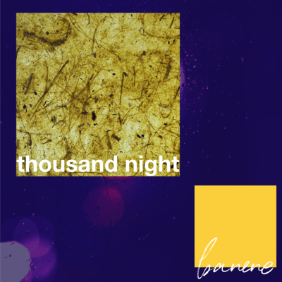 thousand nightのジャケット写真