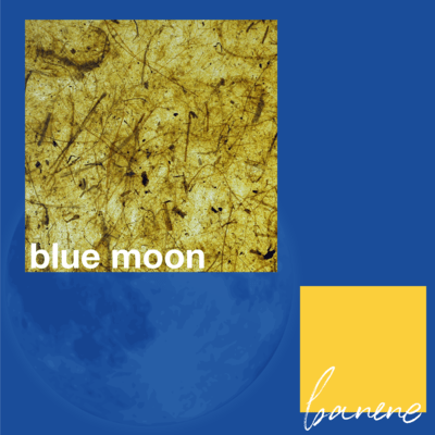 blue moon Front Cover