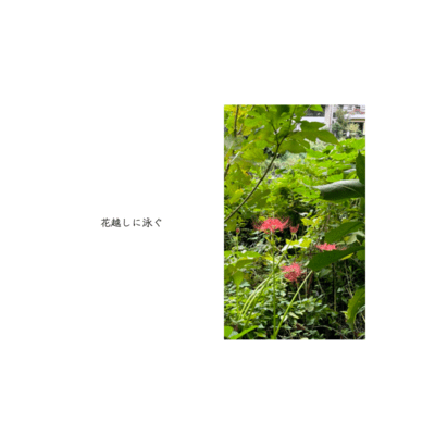 Swim Through the Bloom (feat. HATSUNE MIKU) Front Cover
