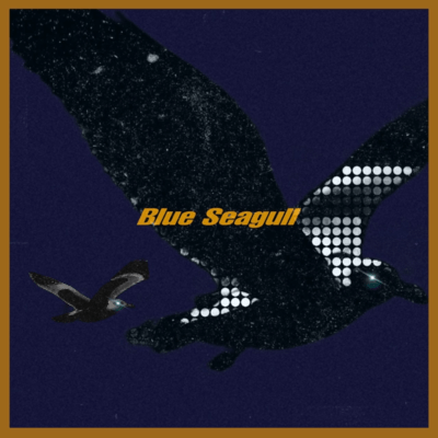 Blue Seagull Front Cover