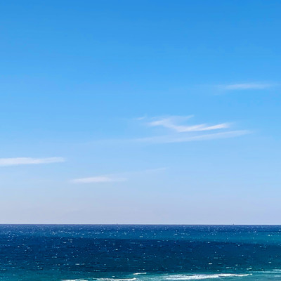 disappear into summer Front Cover