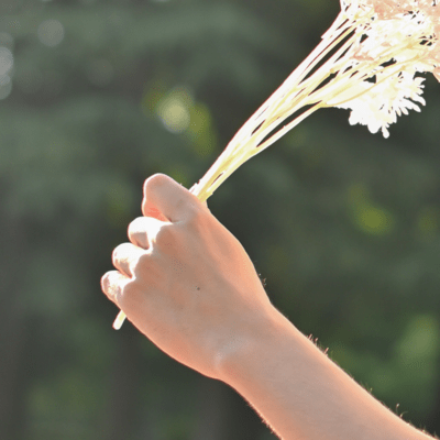 About Us Front Cover