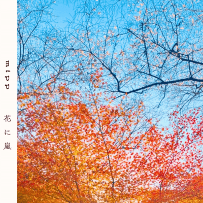 花に嵐のジャケット写真