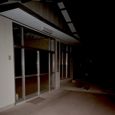 The X-Files Song/Edible Girl Front Cover