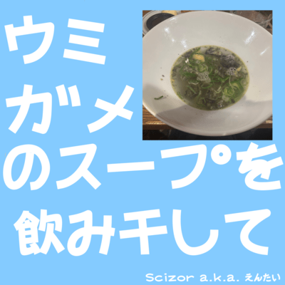 Drink Up the Sea Turtle Soup Front Cover