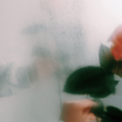 poolのジャケット写真