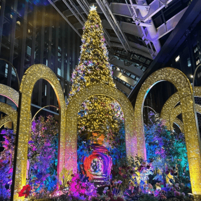 HAU LALALAのジャケット写真