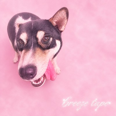 breeze tape Front Cover